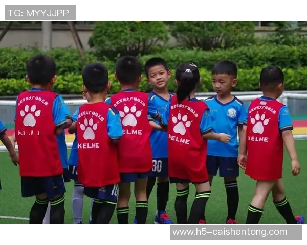 足球教练证书报考流程详解及注意事项指南